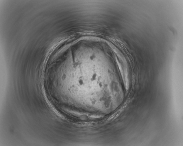 X0000112810049200909041502