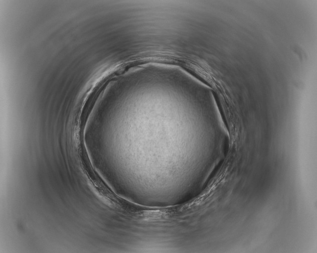 X0000112810050200909041502