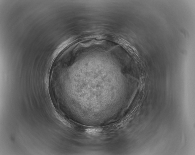 X0000112810051200909041502