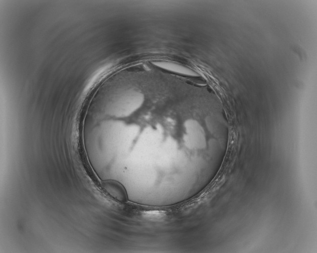 X0000112810053200909041502