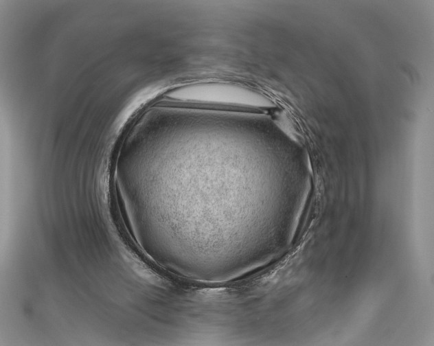 X0000112810054200909041503