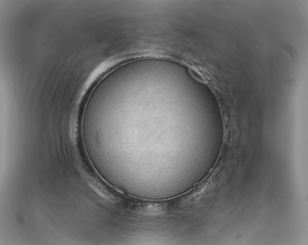 X0000112810056200909041503