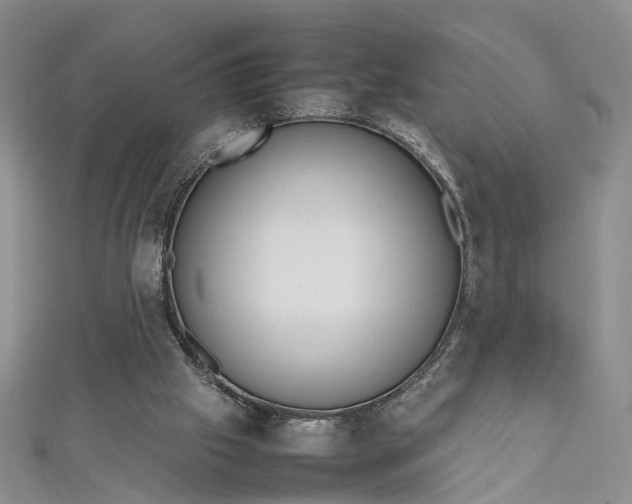 X0000112810057200909041503