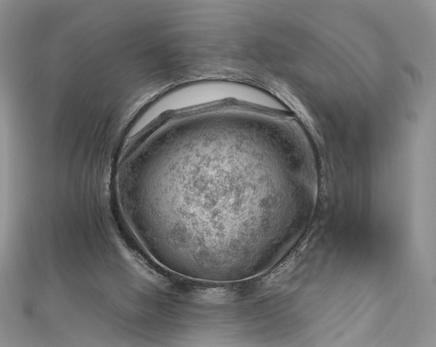 X0000112810058200909041503