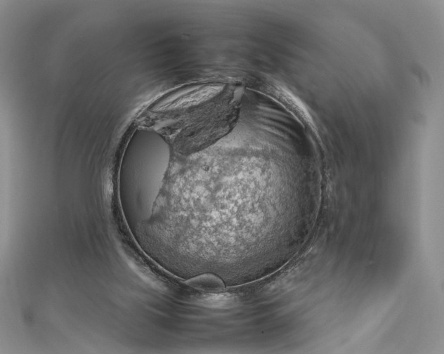 X0000112810059200909041503