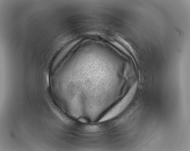 X0000112810061200909041503