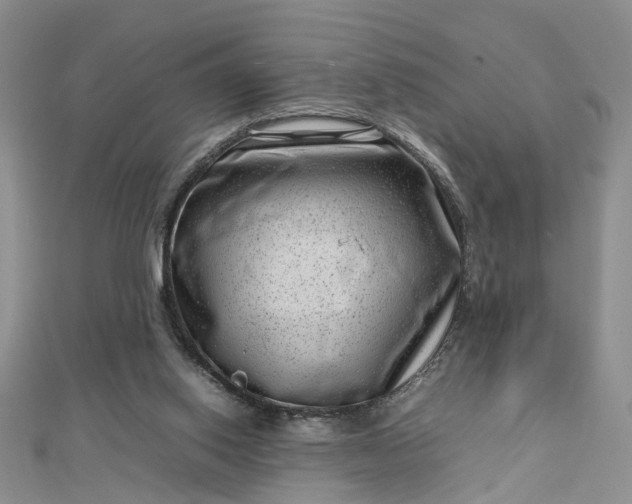 X0000112810062200909041503