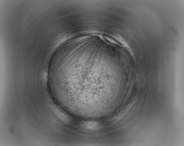 X0000112810063200909041503