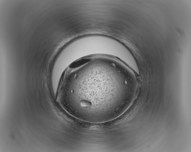 X0000112810064200909041503