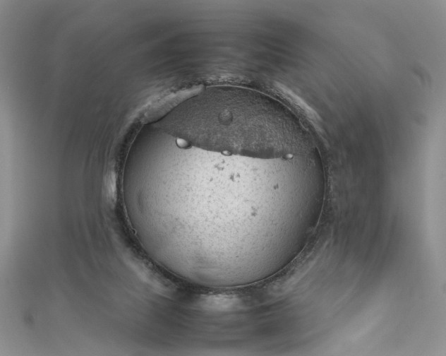 X0000112810067200909041503