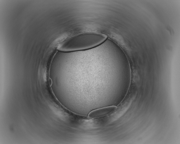 X0000112810068200909041503