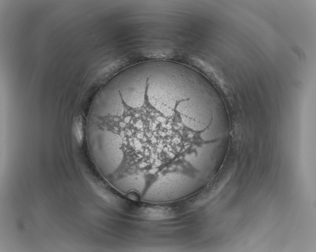 X0000112810069200909041503