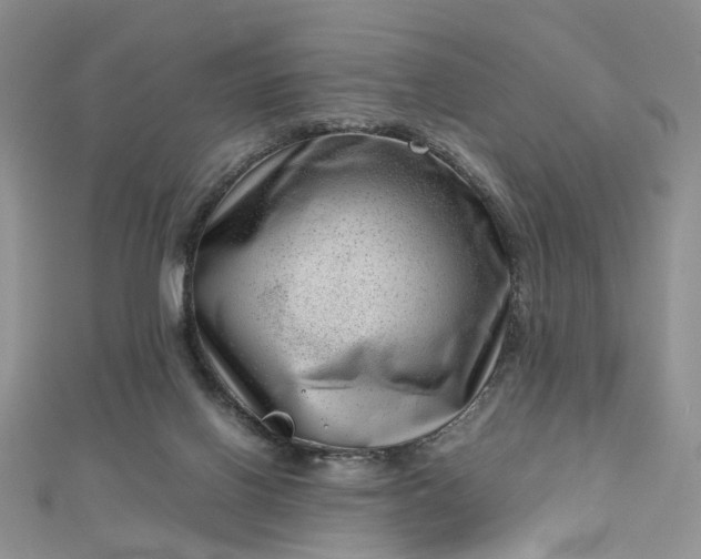 X0000112810070200909041503