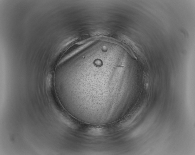 X0000112810071200909041503