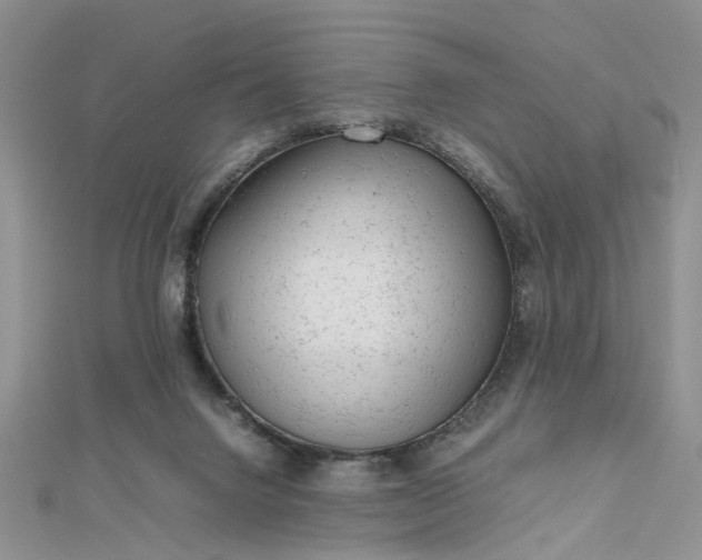 X0000112810072200909041503