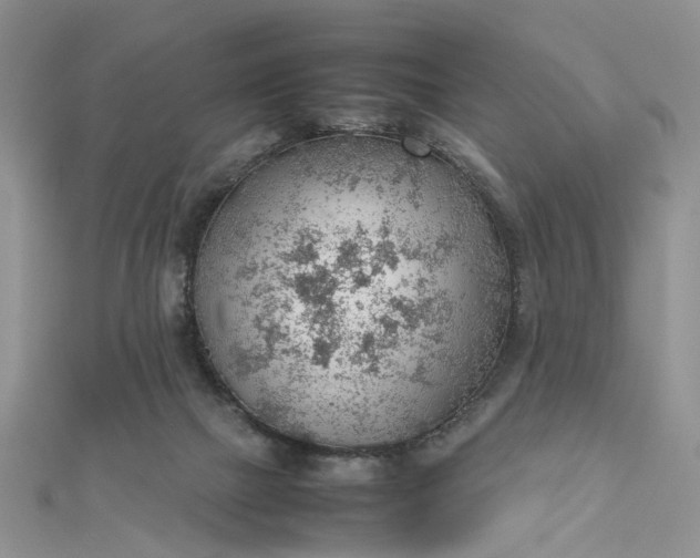 X0000112810073200909041503