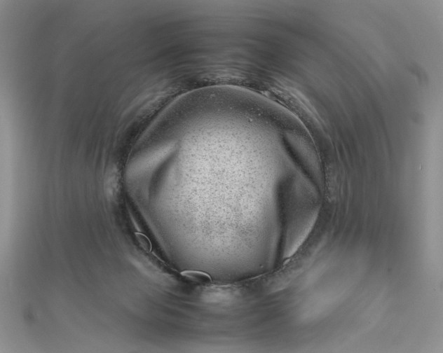 X0000112810077200909041503