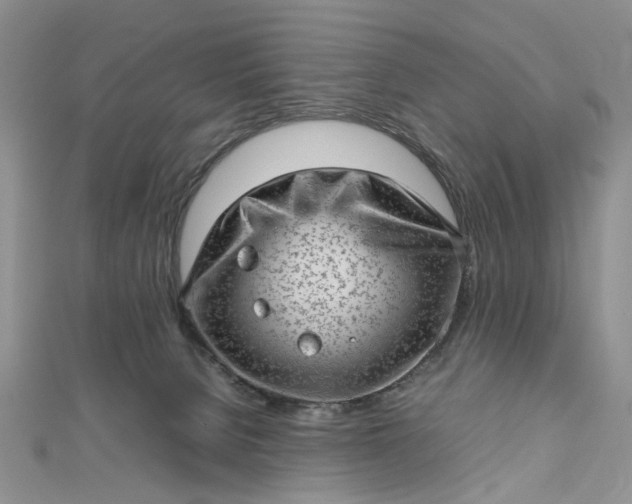 X0000112810080200909041503