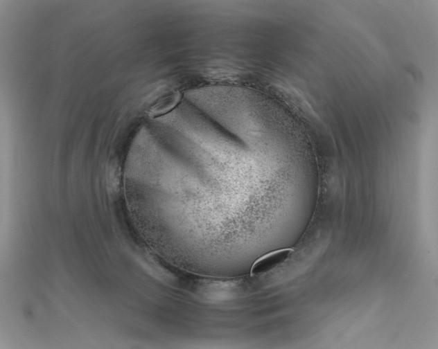 X0000112810081200909041503