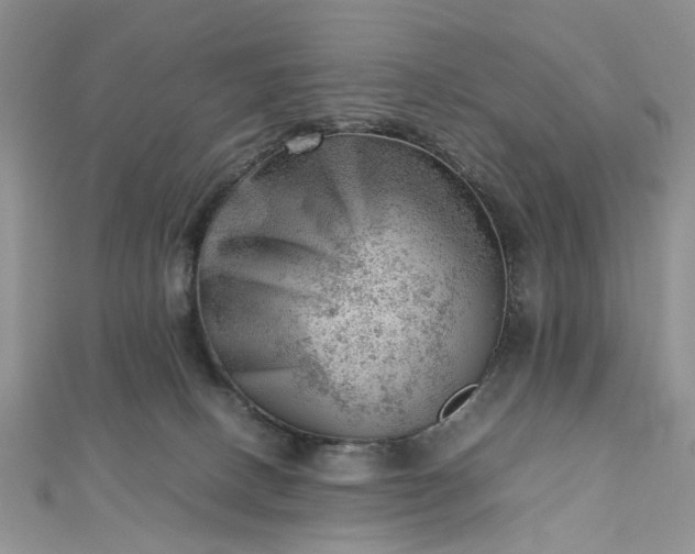 X0000112810082200909041503