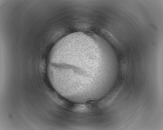 X0000112810083200909041503