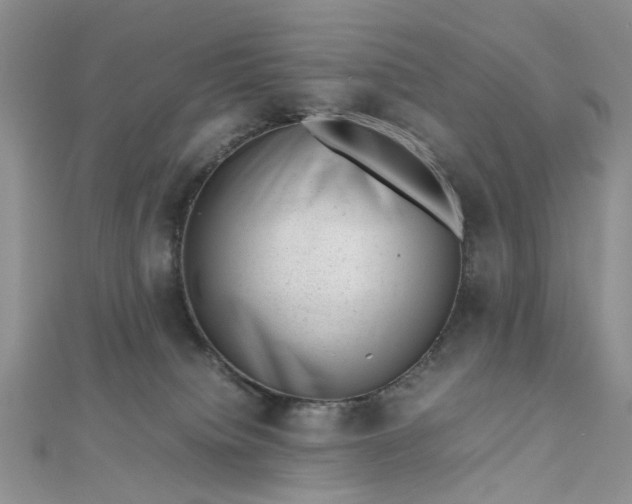 X0000112810084200909041503