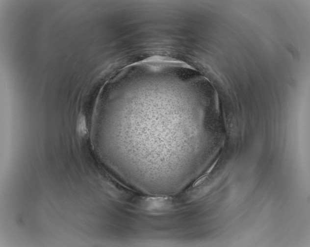 X0000112810089200909041503