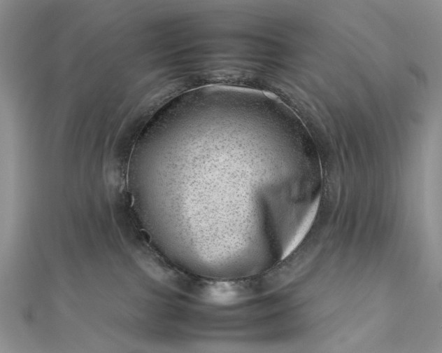 X0000112810091200909041503