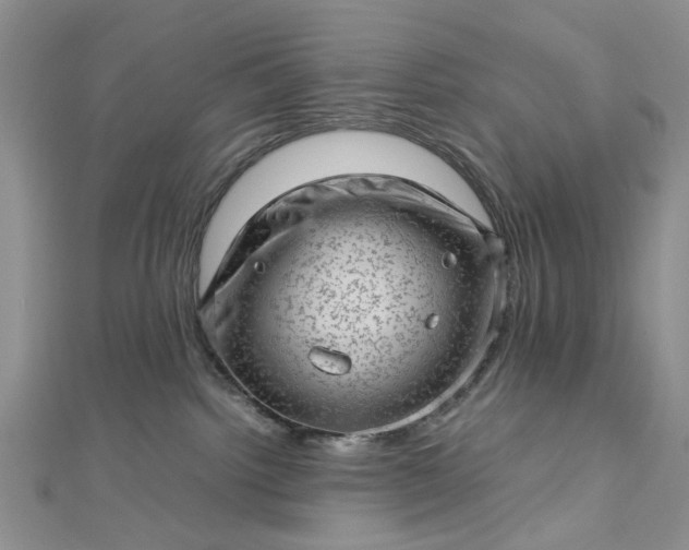 X0000112810092200909041503