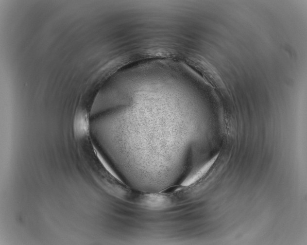 X0000112810095200909041503