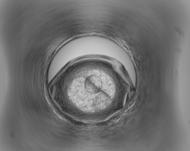 X0000112810097200909041502