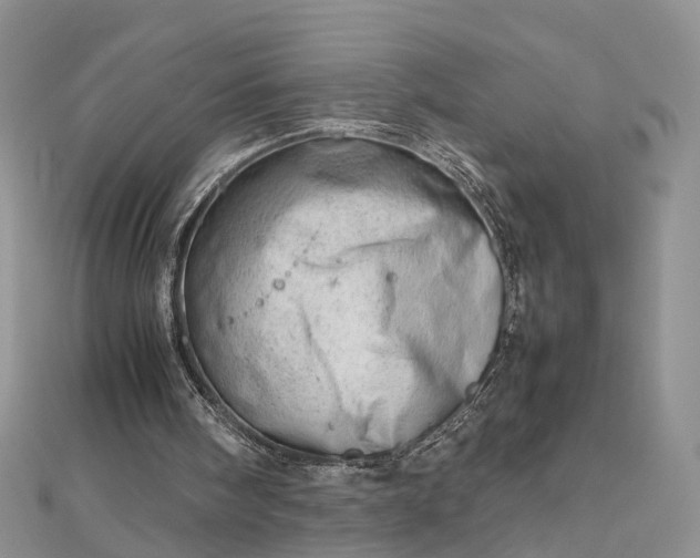 X0000112810098200909041502