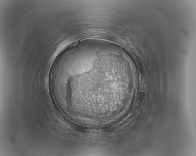 X0000112810099200909041502