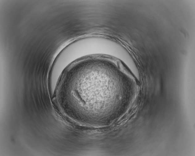 X0000112810100200909041502