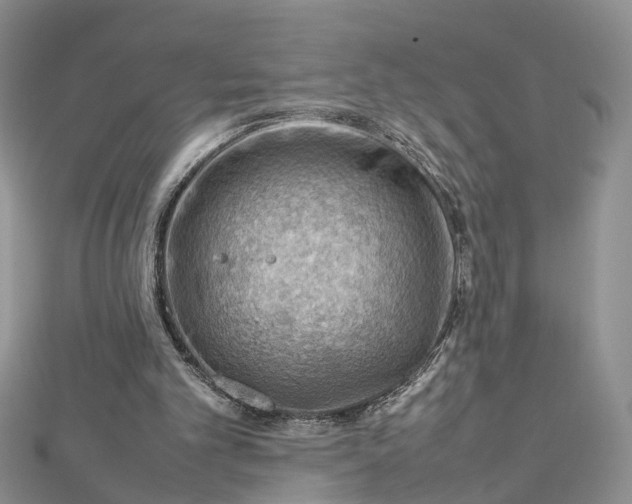 X0000112810101200909041502