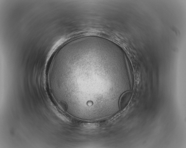 X0000112810102200909041502