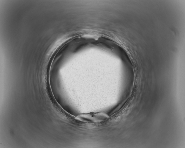 X0000112810103200909041502