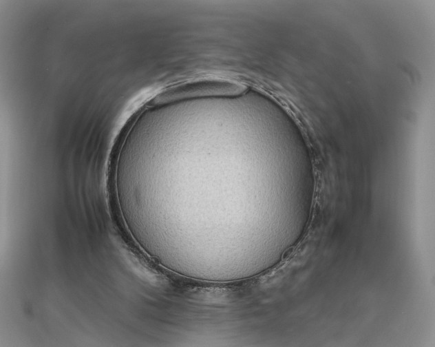 X0000112810104200909041502