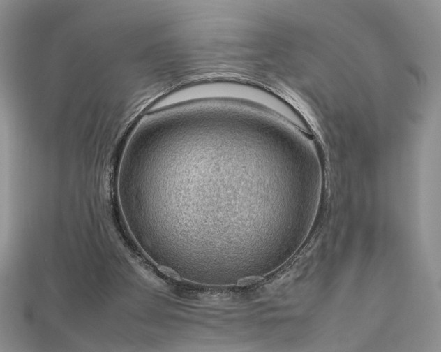 X0000112810105200909041502