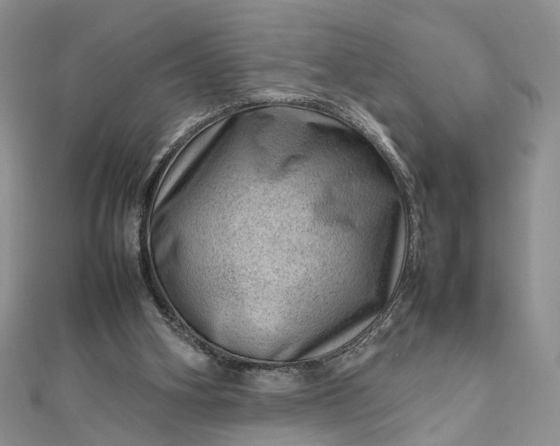 X0000112810106200909041502