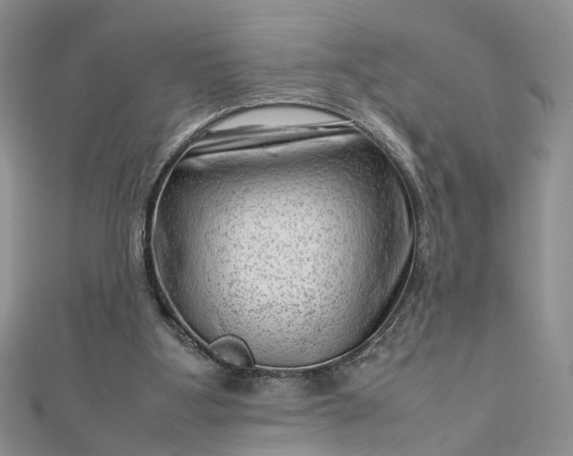 X0000112810107200909041502