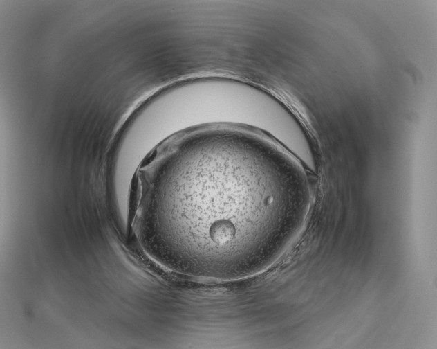 X0000112810108200909041502