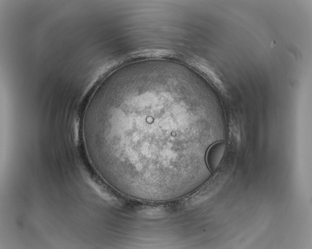 X0000112810110200909041502