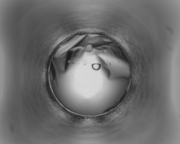 X0000112810111200909041502