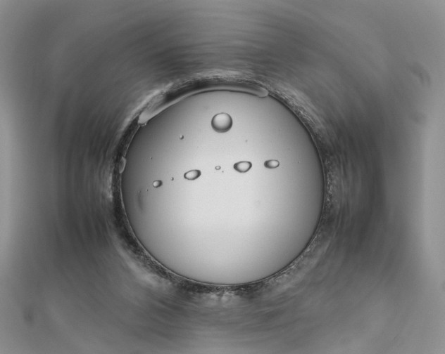 X0000112810112200909041502