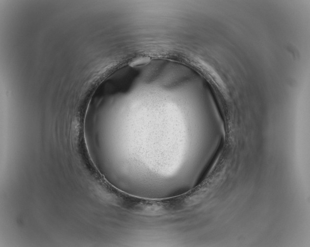 X0000112810113200909041502