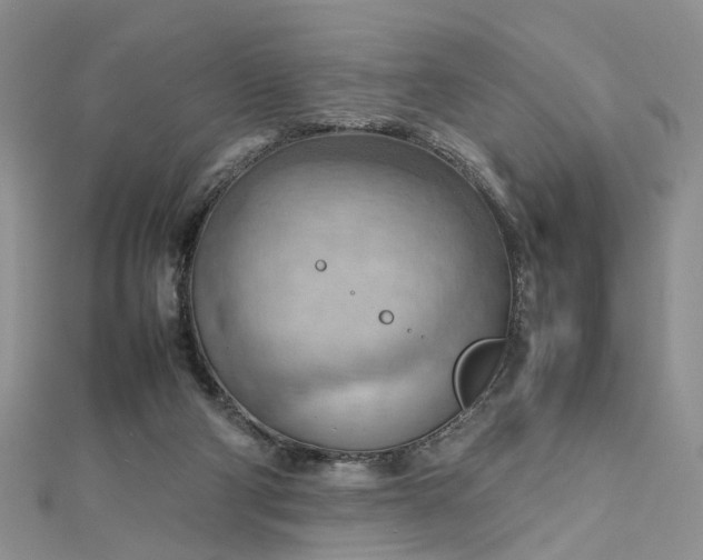 X0000112810114200909041502