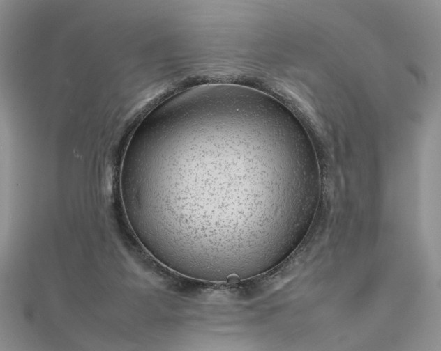 X0000112810115200909041502