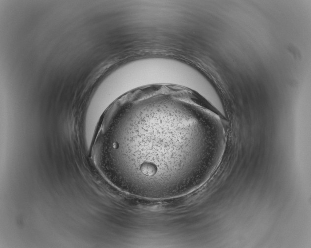 X0000112810116200909041502