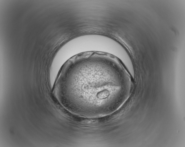 X0000112810117200909041502